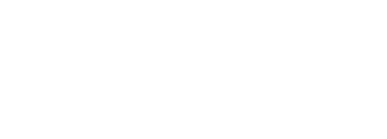 SynergStage